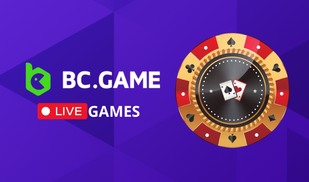 Exploring the Thrills of BC.Game 3